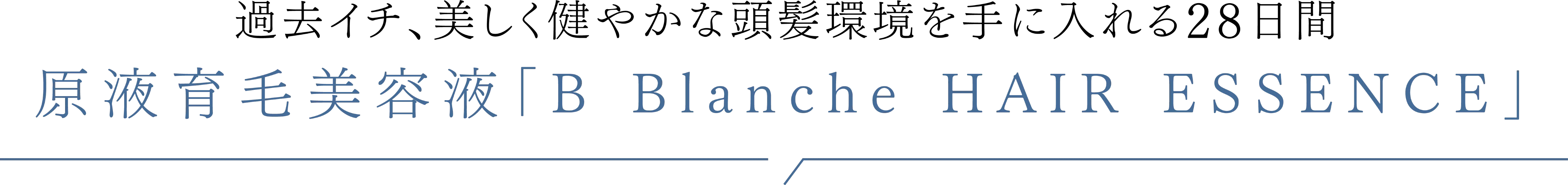 B Blanche HAIR ESSENCE(ビーブランシュ ヘアエッセンス)